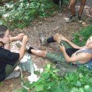 77.Beskid Niski - Niebieski szlak. (2006)