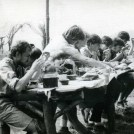 33.1986 - Ulucz  (1986)