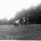 34.Ulucz 1986 (1986)