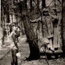 1. Obóz w Zagnańsku 1982 (1982)