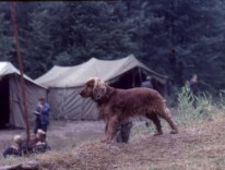 1990 - Jeleniów - pied dh Anity Kierasińskiej 
