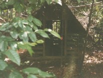 Pieniny - Jura Krakowsko-Częstochowska - 1994